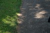 2017-08-21 Eclipse 262